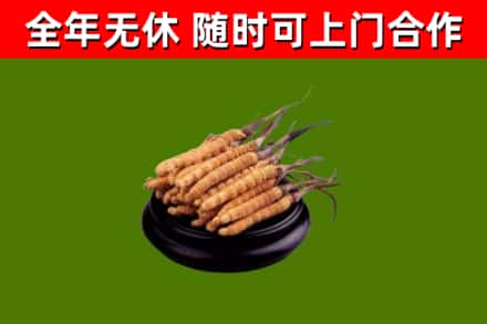 乐都区烟酒回收冬虫夏草.jpg