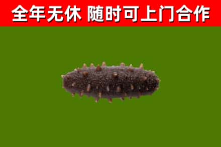 乐都区烟酒回收干海参.jpg